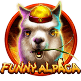 Funny Alpaca